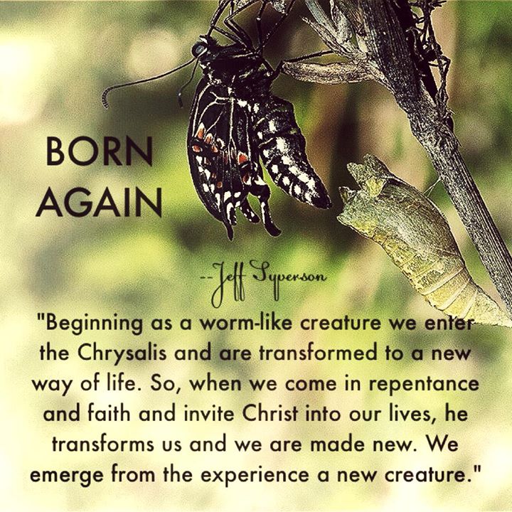 Born Again