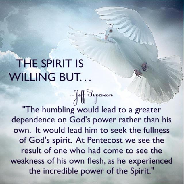 spiritiswillingbut