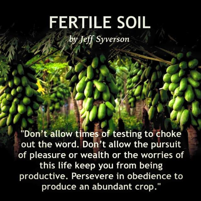 fertilesoil2