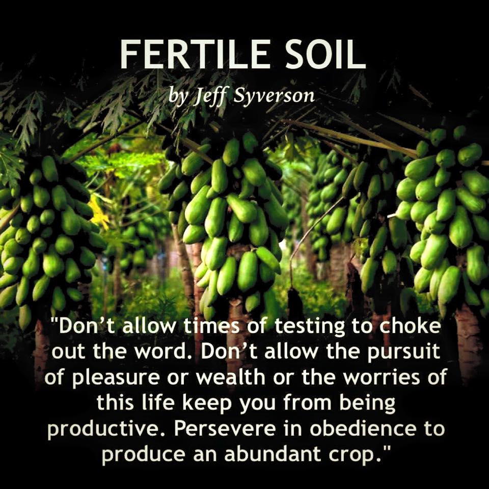 fertile soil