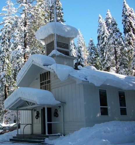 Big Trees CBC IN SNOW