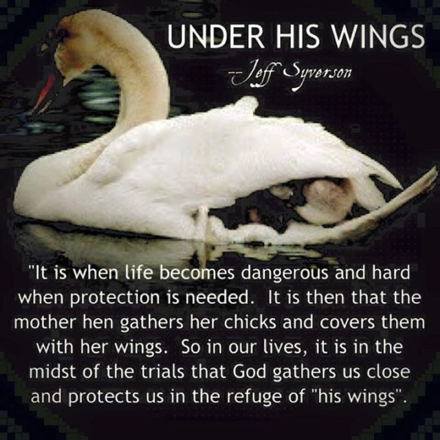 UnderHisWings2