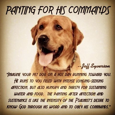 Open Up Your Heart by Jeff Syverson