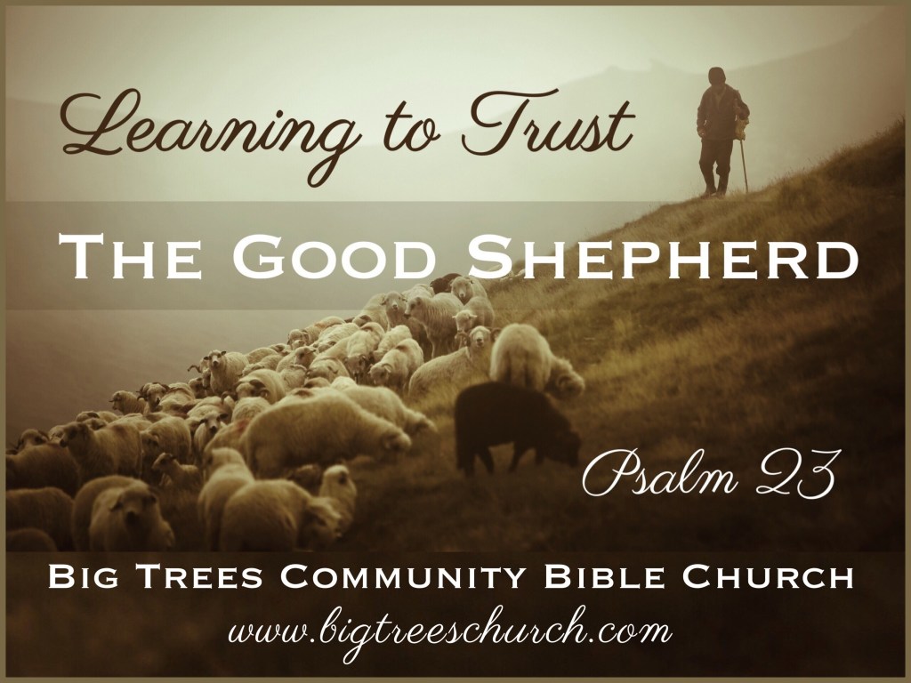 Learning to Trust the Good Shepherd