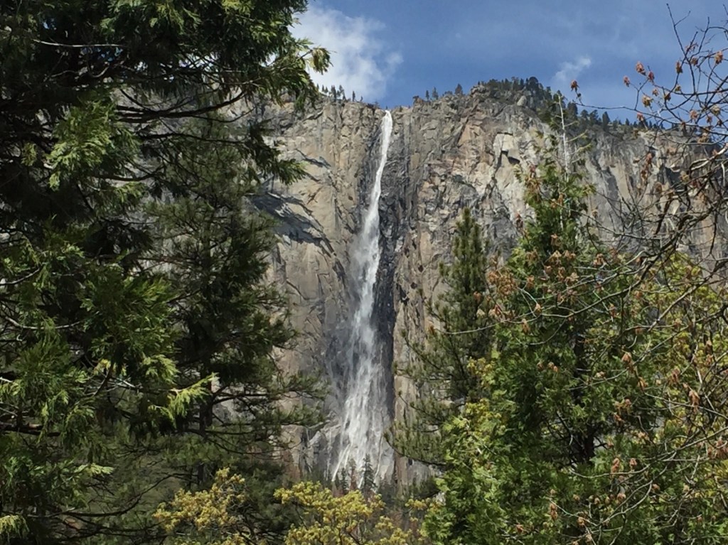 Dearly Loved Children