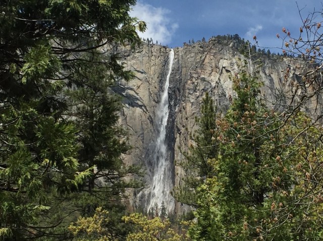 Dearly Loved Children