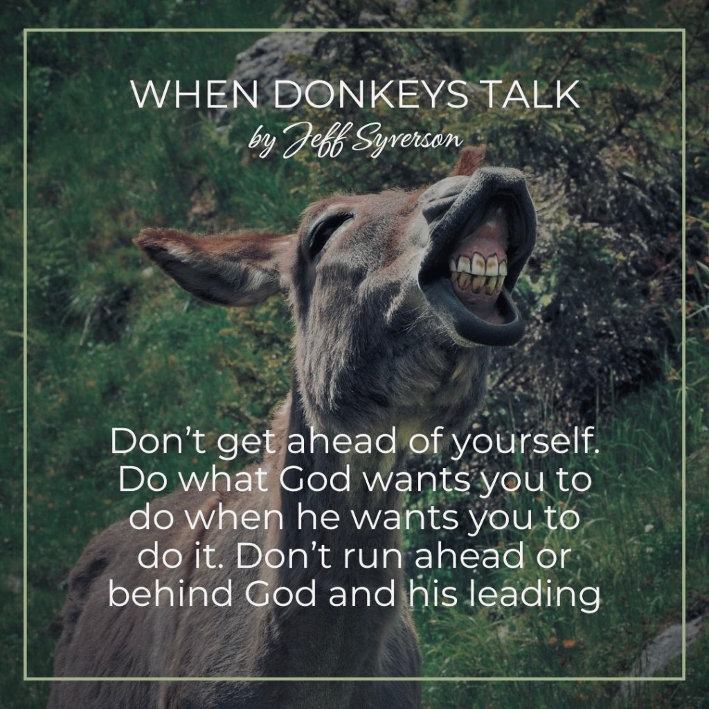 When Donkeys Talk