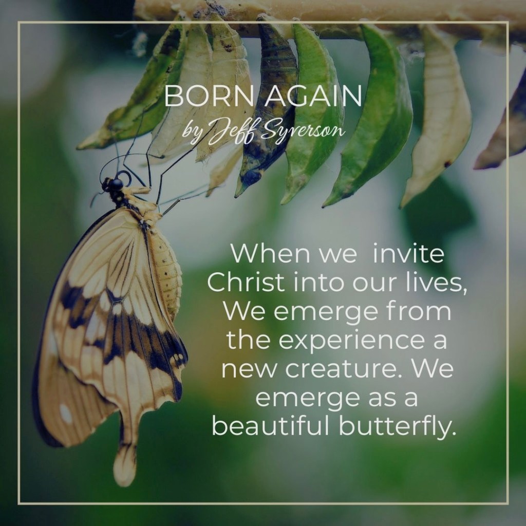 Born Again
by Jeff Syverson
When we invite Christ into our lives. We emerge from the experience a new creature. We emerge as a beautiful butterfly.