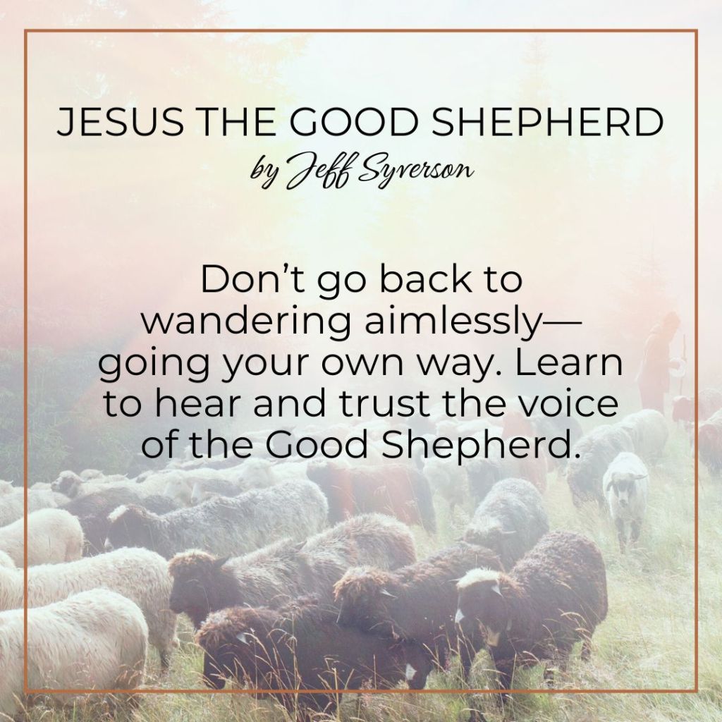 Jesus the Good Shepherd
by Jeff Syverson

Don't go back to wandering aimlessly--going your own way. Learn to hear and trust the voice of the Good Shepherd.