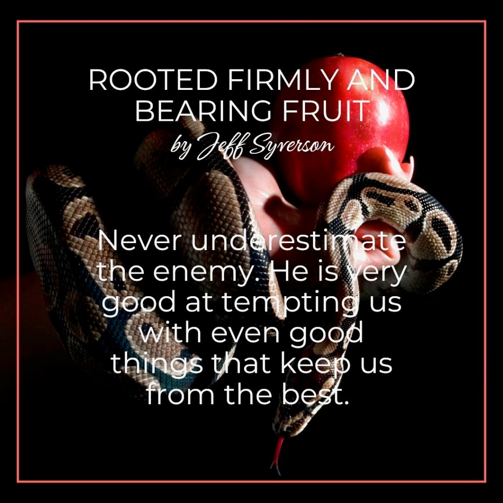 Rooted FIrmly and Bearing Fruit